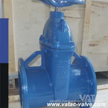 DIN Cast Iron RF Flanged End Soft Seat Gate Valve